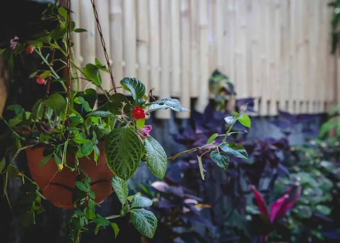 1br In The Heart Of - Tiny Bali Sanctuary Сasa de vacaciones *